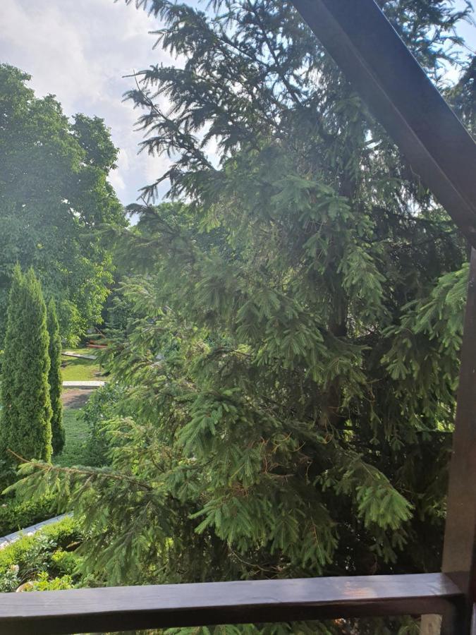 Casa Stefandra Hotel Breaza  Eksteriør billede